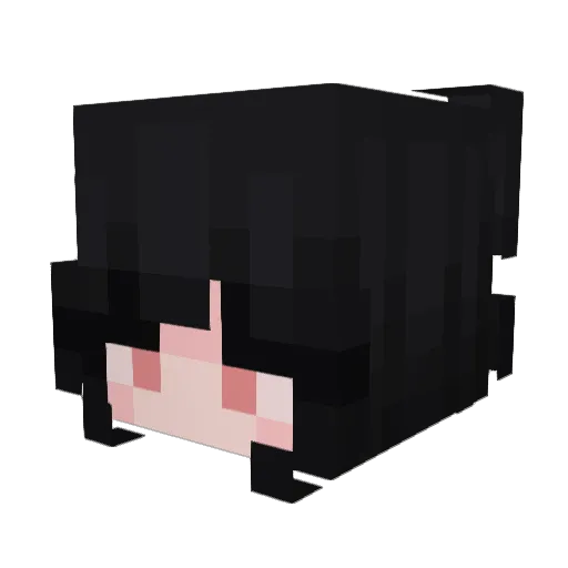 Minecraft-Avatar von Bombdoc911: Kopf als 3D-Render