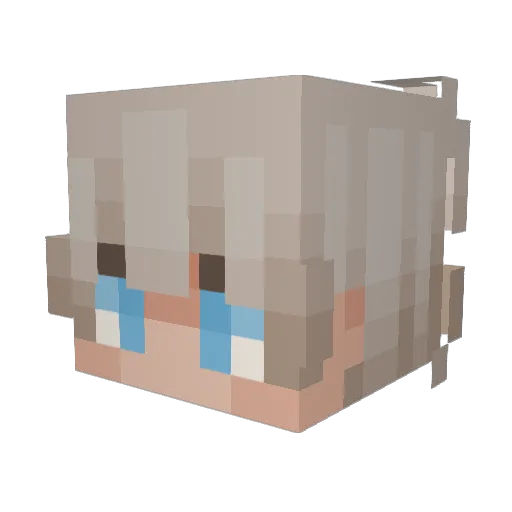 Bombenbauer123 Minecraft avatar head, 3D render