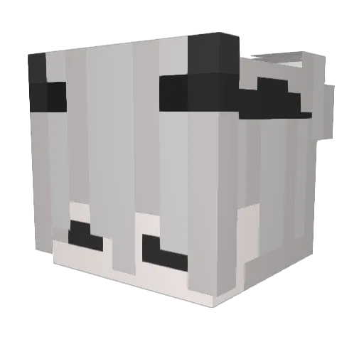 Bomber123 Minecraft avatar head, 3D render