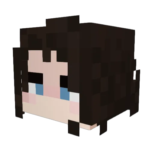 Bomber1809 Minecraft avatar head, 3D render