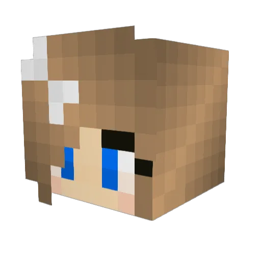 Bomber8181 Minecraft avatar head, 3D render