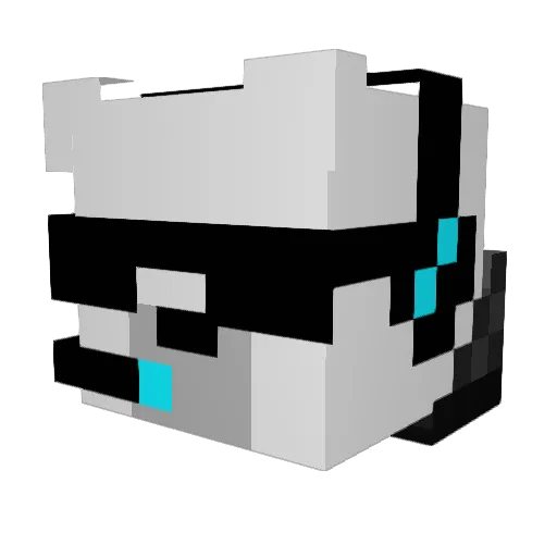 Bomber_Bear Minecraft avatar head, 3D render