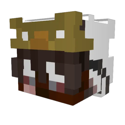Bomberino004 Minecraft avatar head, 3D render