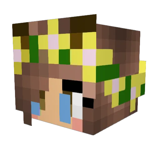 Bomblebee1 Minecraft avatar head, 3D render
