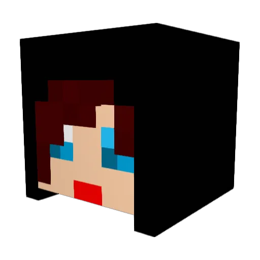 Bon1011 Minecraft avatar head, 3D render