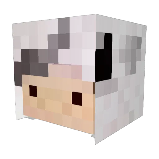 Bon3z88 Minecraft avatar head, 3D render