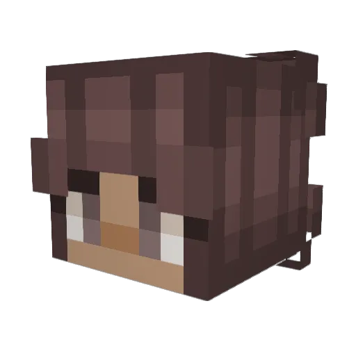 BonBell_ Minecraft avatar head, 3D render