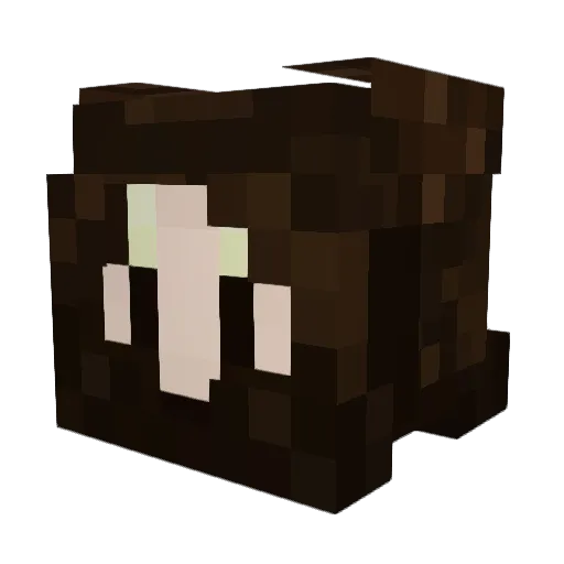 Bonabus Minecraft avatar head, 3D render