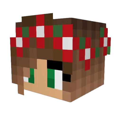 Bonakl Minecraft avatar head, 3D render