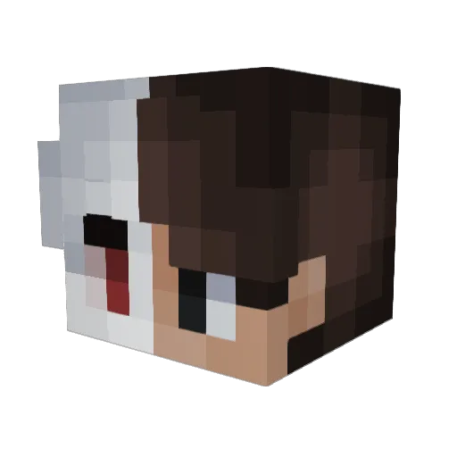 Bonaldo_ Minecraft avatar head, 3D render