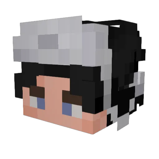 Minecraft-Avatar von Bonan0: Kopf als 3D-Render