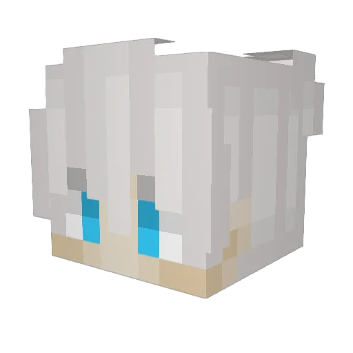 Bondii2010 Minecraft avatar head, 3D render