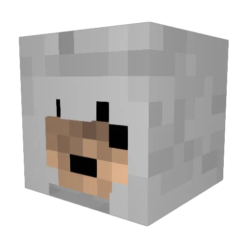 Bone_Crusher100 Minecraft avatar head, 3D render