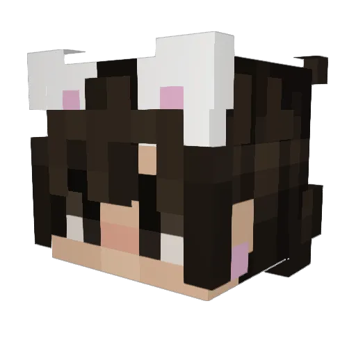 Bone_Pile Minecraft avatar head, 3D render