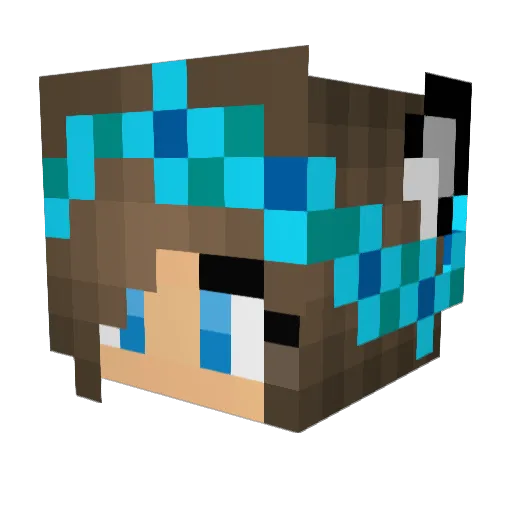 Bonehead51 Minecraft avatar head, 3D render