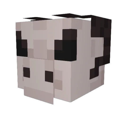 Boneknapper_fan7 Minecraft avatar head, 3D render