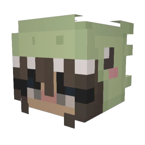 BonelessCat3953 Minecraft avatar head, 3D render