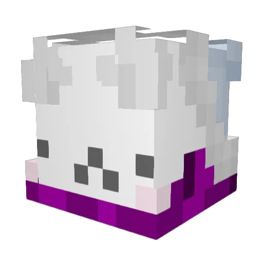BonelessPizza556 Minecraft avatar head, 3D render