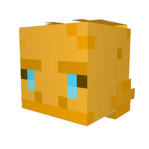 Bonenager Minecraft avatar head, 3D render