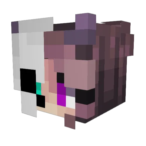 Bones_x Minecraft avatar head, 3D render