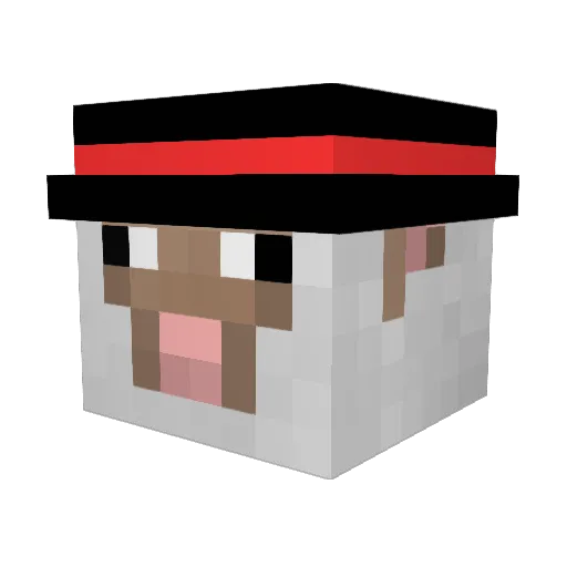 Bonfi96 Minecraft avatar head, 3D render
