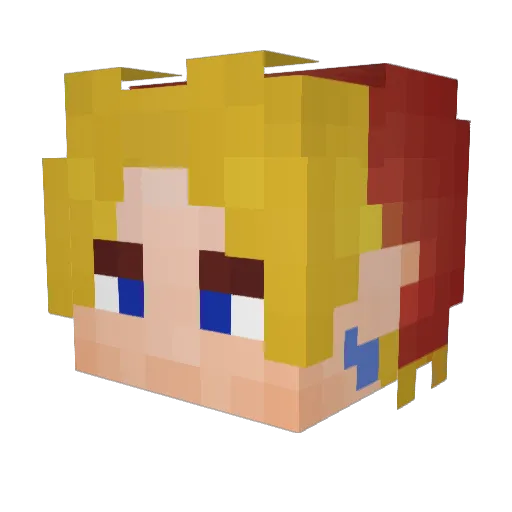 Bonfir5 Minecraft avatar head, 3D render