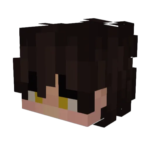 Bonfire1 Minecraft avatar head, 3D render