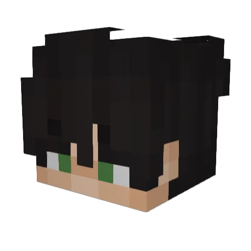 Bonfire456 Minecraft avatar head, 3D render