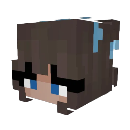 Bonfu Minecraft avatar head, 3D render