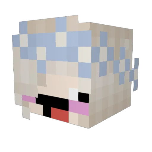 BongBongShikaler Minecraft avatar head, 3D render