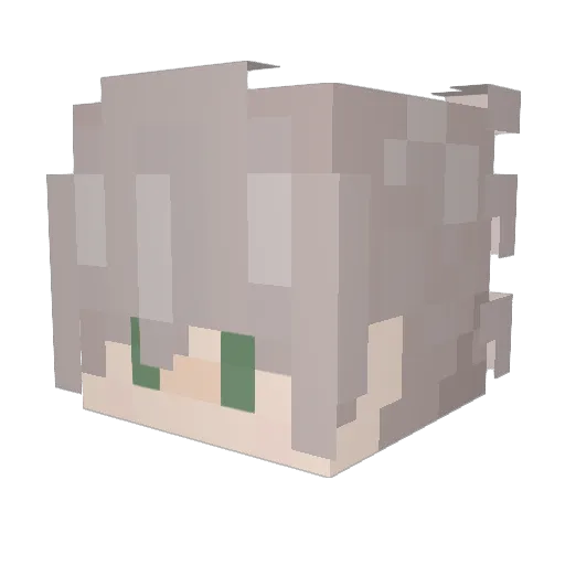 BongNala Minecraft avatar head, 3D render