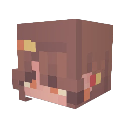 BongoBubbly Minecraft avatar head, 3D render