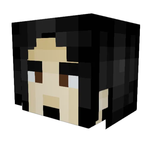 BongoFarm Minecraft avatar head, 3D render