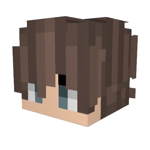BongoLongo Minecraft avatar head, 3D render