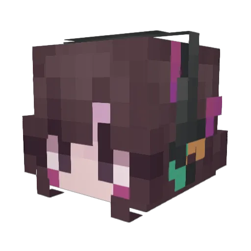 Bongocat8378 Minecraft avatar head, 3D render