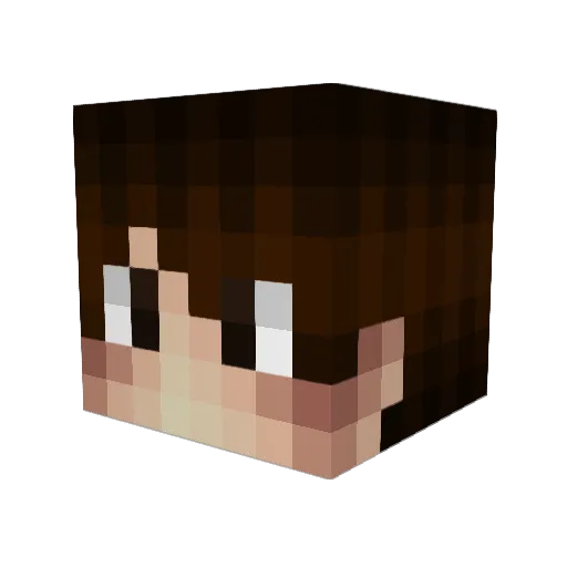 Bonhoure Minecraft avatar head, 3D render