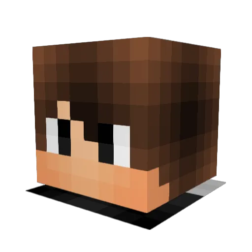 Boni2007 Minecraft avatar head, 3D render
