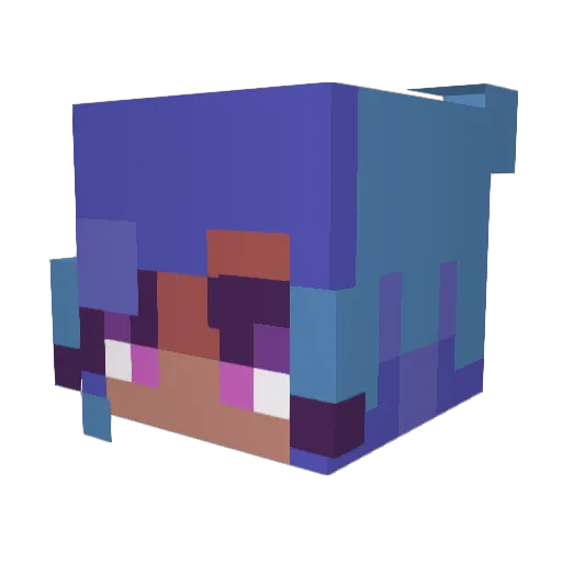 BoniCaye Minecraft avatar head, 3D render