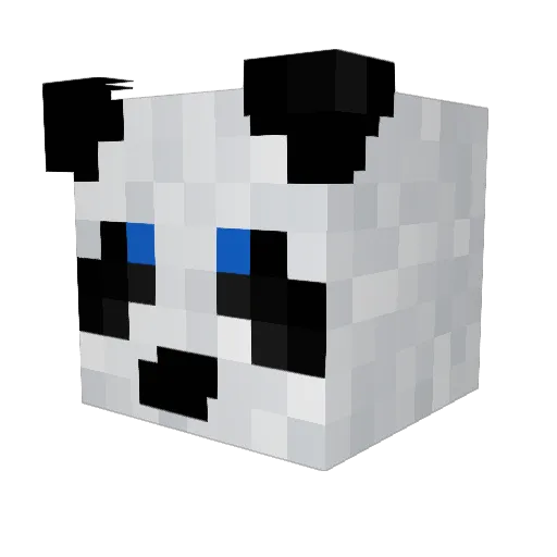 BonicToSzef Minecraft avatar head, 3D render