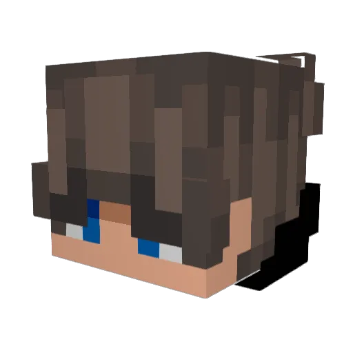 Bonifac14 Minecraft avatar head, 3D render