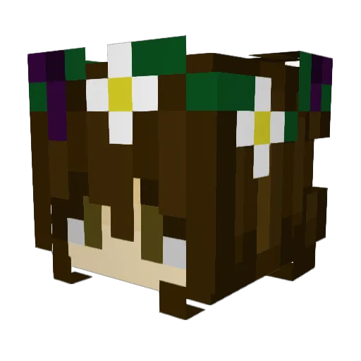 Bonita711 Minecraft avatar head, 3D render