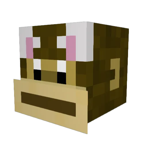 Bonjournn Minecraft avatar head, 3D render