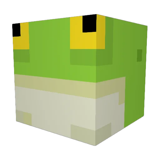 Bonk1618 Minecraft avatar head, 3D render