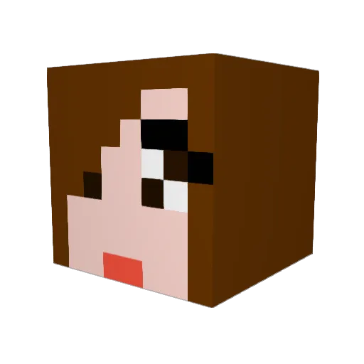 Bonkers03 Minecraft avatar head, 3D render