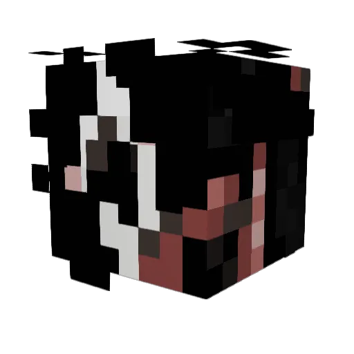 Bonkoworld Minecraft avatar head, 3D render
