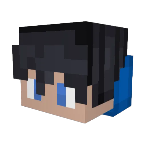 Bonky2204 Minecraft avatar head, 3D render
