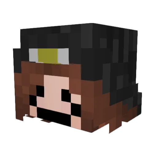 Bonkz_ Minecraft avatar head, 3D render