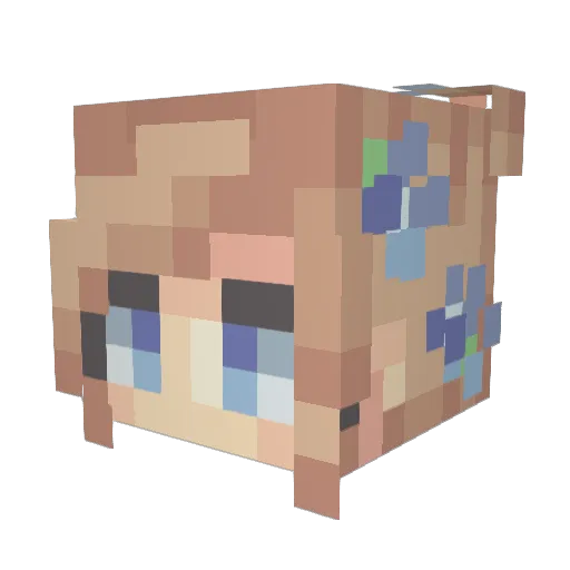 Bonlyin Minecraft avatar head, 3D render