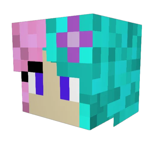Bonnagrabb Minecraft avatar head, 3D render