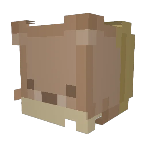 Bonncaa Minecraft avatar head, 3D render
